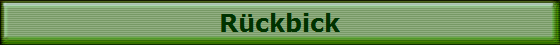 Rückbick